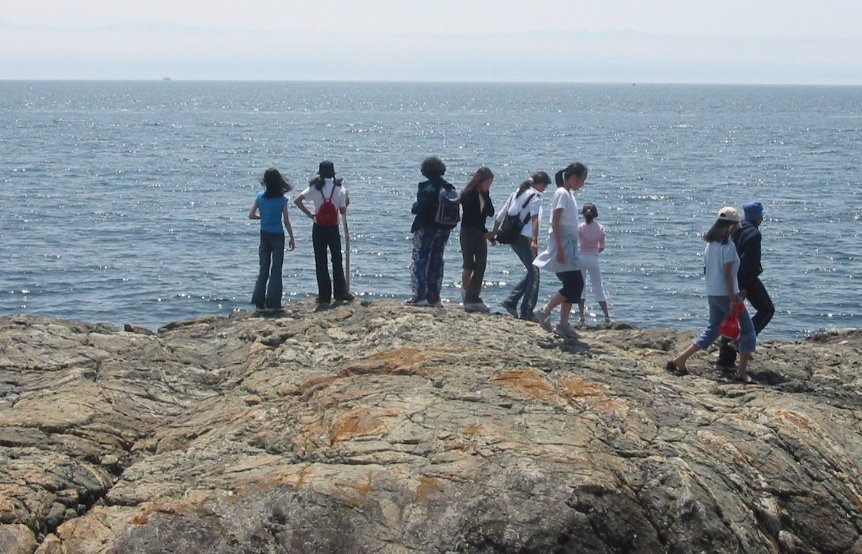 Beach 14.jpg
